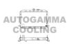 AUTOGAMMA 101022 Radiator, engine cooling